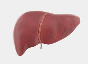 fatty liver